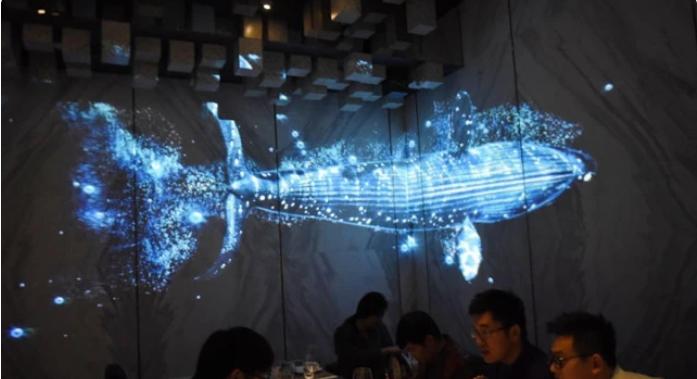 全息影像技術(shù)哪家好？